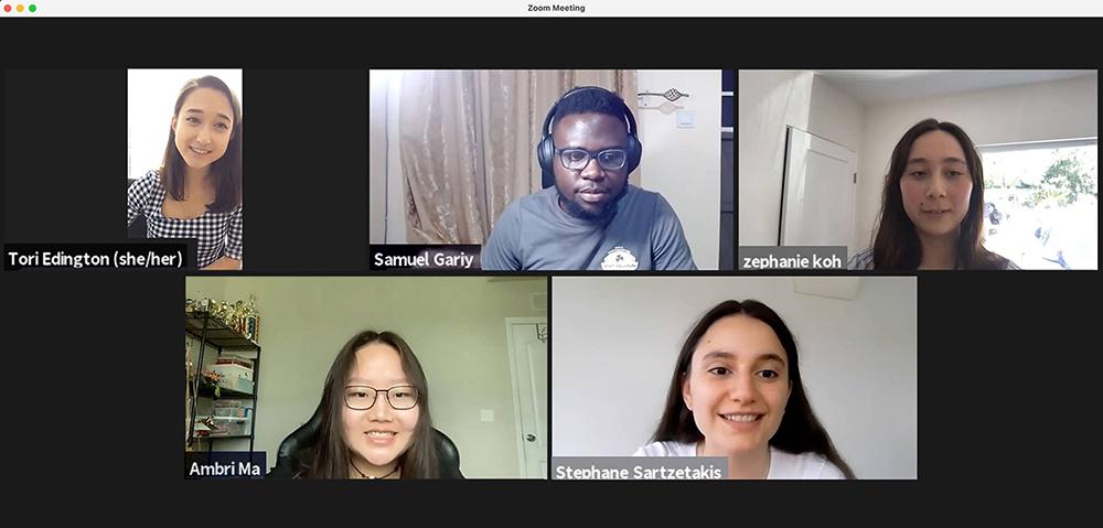 Zoom screenshot of undergraduate call