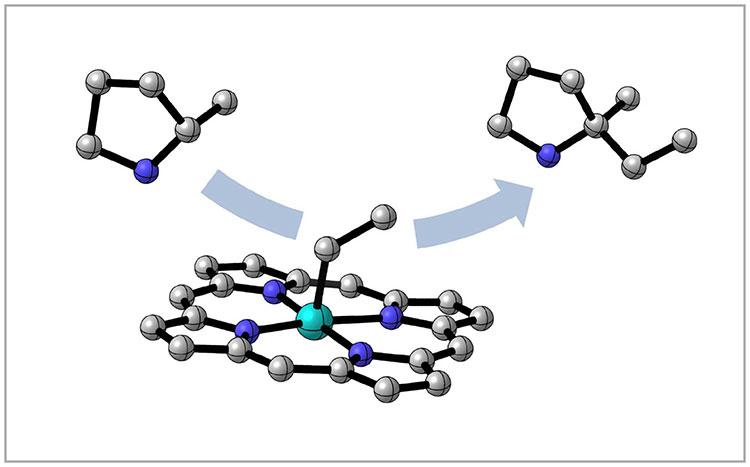 Chemical illustration of carbon bonds